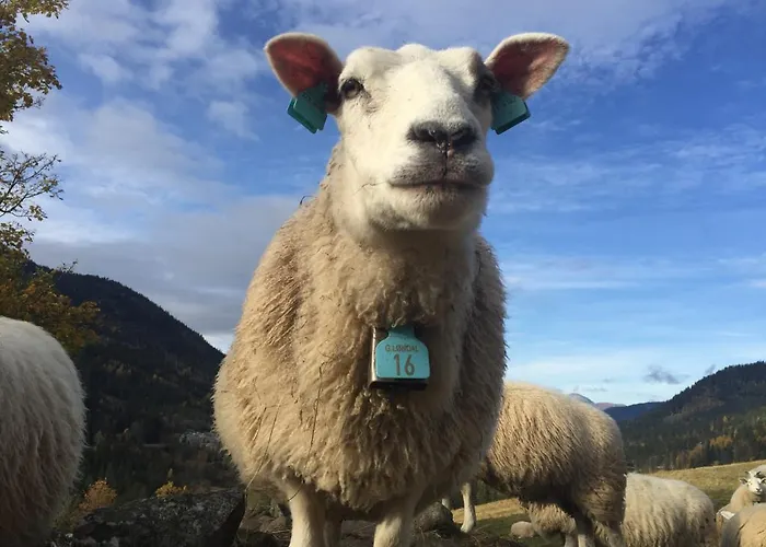 Longdal Hébergement de vacances Tuddal